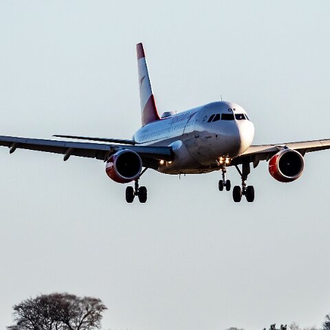 Austrian-Airlines-OE-LDF-2020-01-18