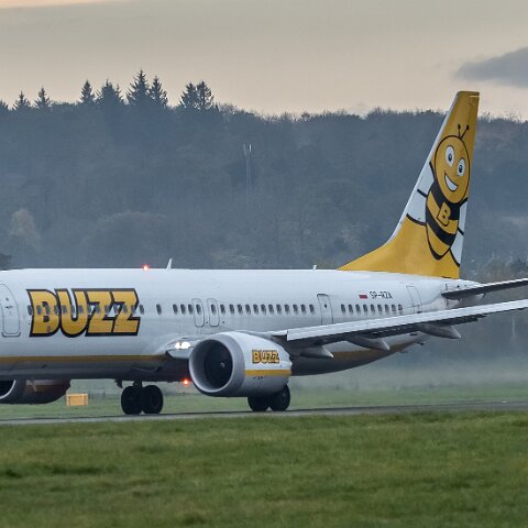 Buzz-SP-RZA-2022-11-14-1