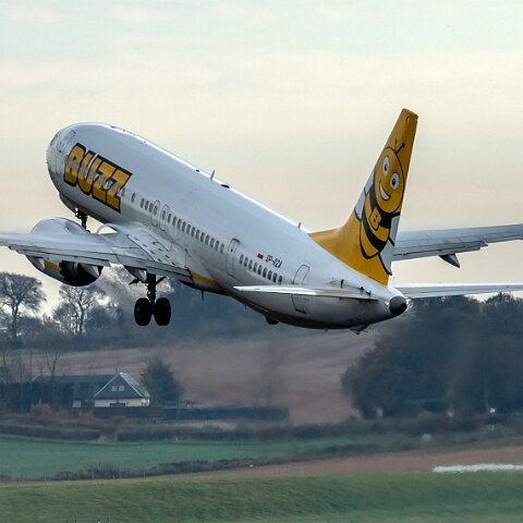 Buzz-SP-RZA-2022-11-14-6