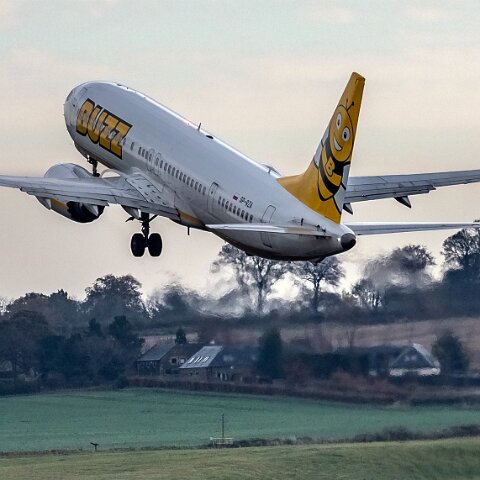 Buzz-SP-RZA-2022-11-14-7