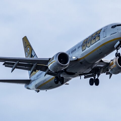 Buzz-SP-RZA-2023-03-06