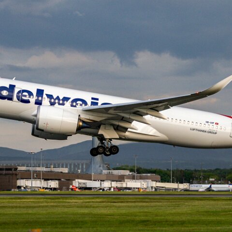 Edelweiss-HB-IHF-2025-05-11-2