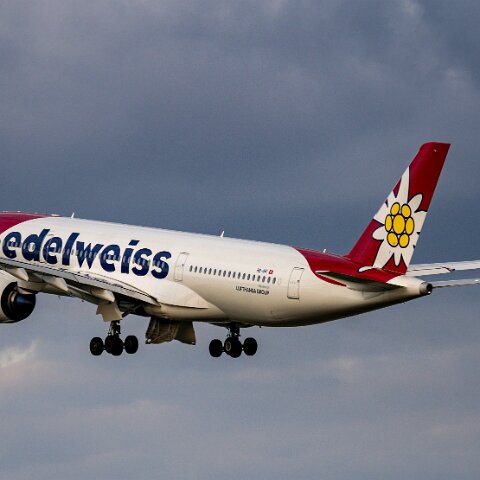 Edelweiss-HB-IHF-2025-05-11-6