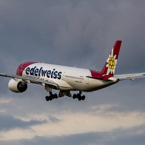 Edelweiss-HB-IHF-2025-05-11-7
