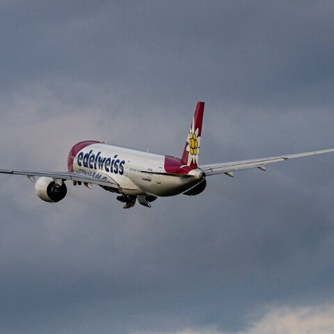 Edelweiss-HB-IHF-2025-05-11-8