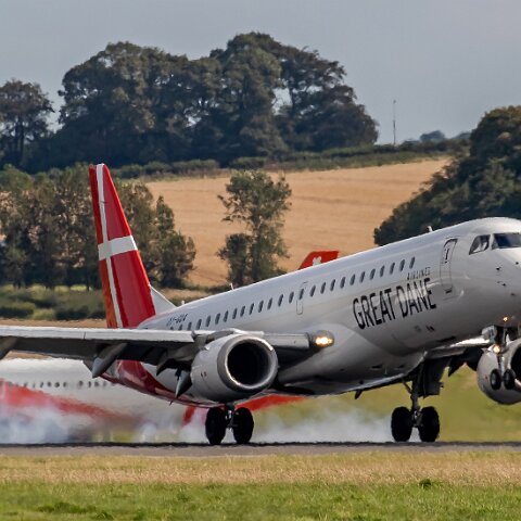 Great-Dane-OY-GDA-2019-08-26-1