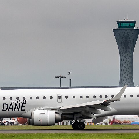 Great-Dane-OY-GDB-2019-07-29-1