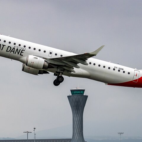 Great-Dane-OY-GDB-2019-07-29-10