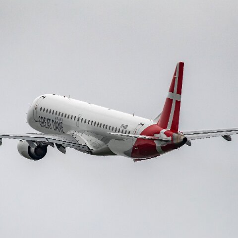 Great-Dane-OY-GDB-2019-07-29-2