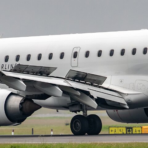 Great-Dane-OY-GDB-2019-07-29-3