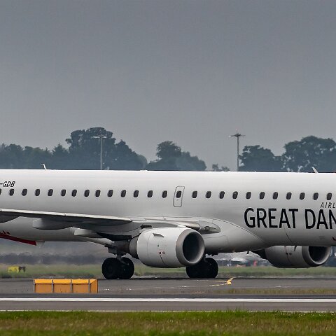 Great-Dane-OY-GDB-2019-07-29-4