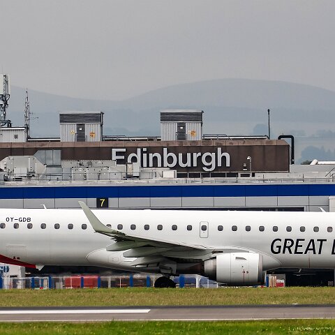 Great-Dane-OY-GDB-2019-07-29-5