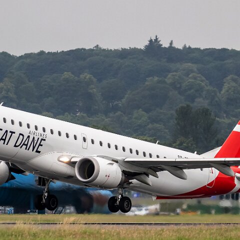 Great-Dane-OY-GDB-2019-07-29-7