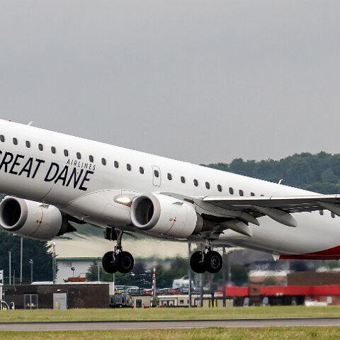 Great-Dane-OY-GDB-2019-07-29-8