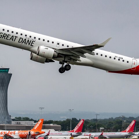 Great-Dane-OY-GDB-2019-07-29-9