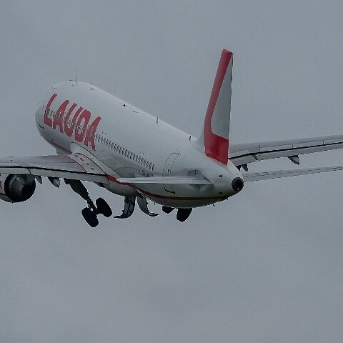 Lauda-9H-LMT-2022-09-08-4