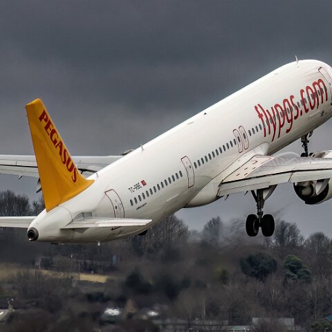 Pegasus-TC-RBE-2025-03-15 (11)