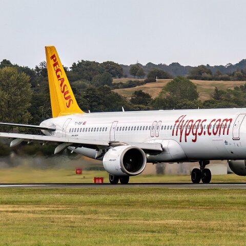 Pegasus-TC-RBF-2025-08-26-1