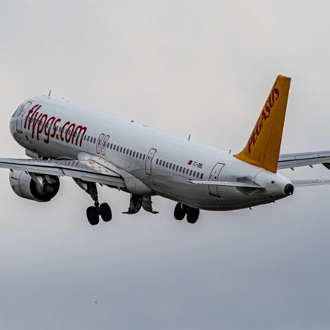 Pegasus-TC-RBL-2025-01-26-2