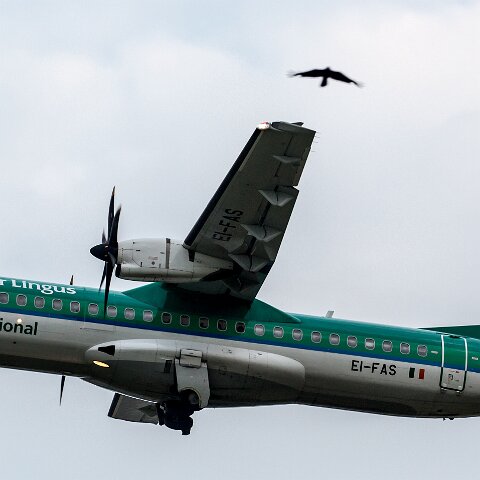 Stobart-Air-EI-FAS-2016-06-09-1