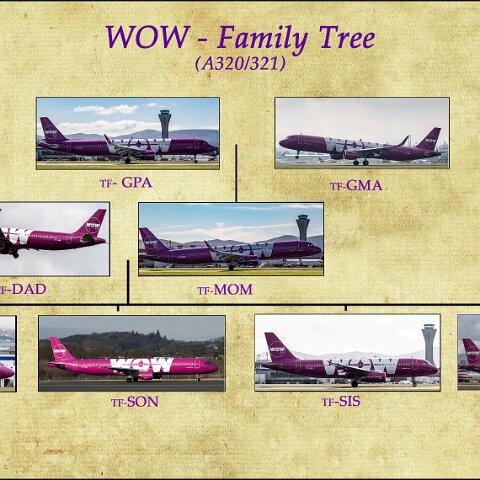 WOW-Family-Tree-WOW