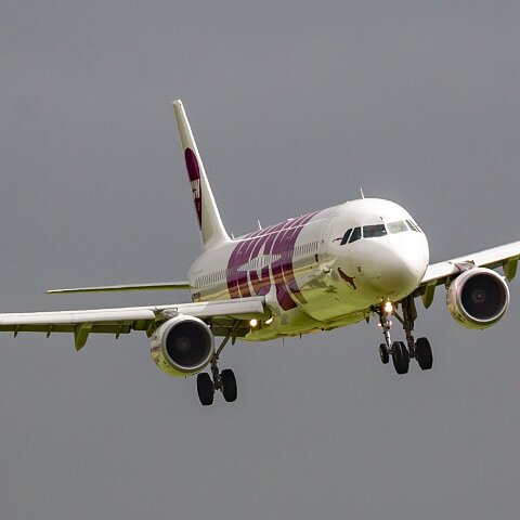 WOW-TF-DAD-2016-08-07