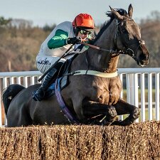 Kelso Races 2017-2020 Kelso Races 2017-2020