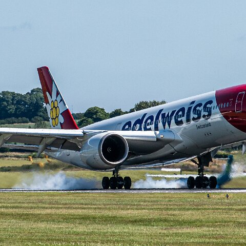 Edelweiss-HB-IHC-2026-07-08-5