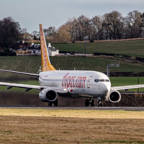 Pegasus-TC-CPC-2026-02-16-2