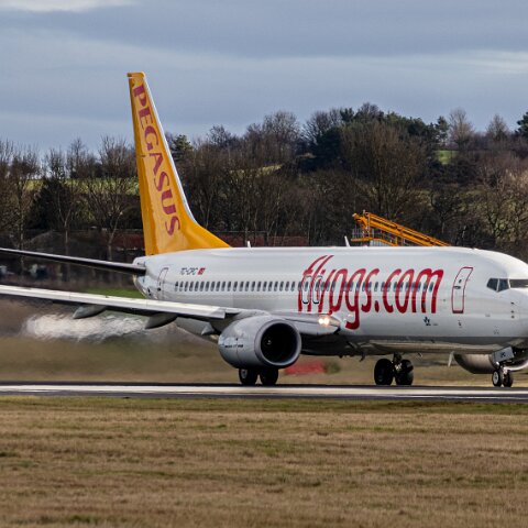 Pegasus-TC-CPC-2026-02-16-3