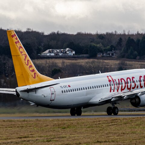 Pegasus-TC-CPC-2026-02-16-4