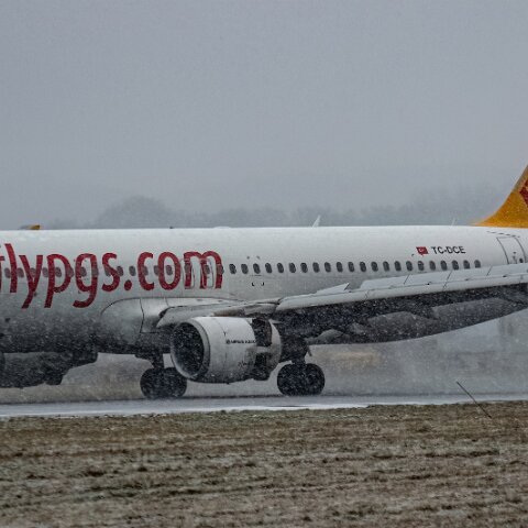 Pegasus-TC-DCE-2026-01-09-3