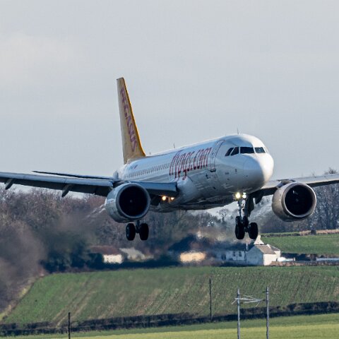 Pegasus-TC-NCY-2026-03-06-1