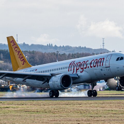 Pegasus-TC-NCY-2026-03-06-2