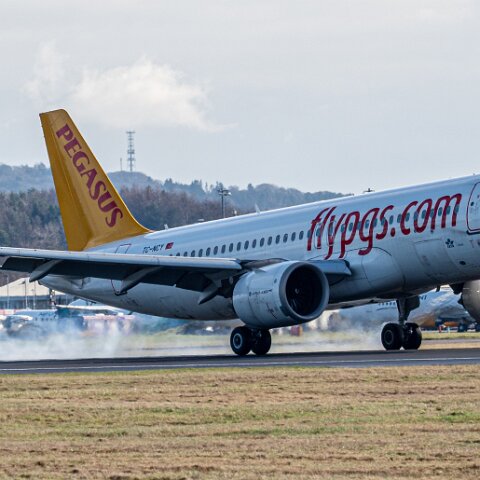 Pegasus-TC-NCY-2026-03-06-3