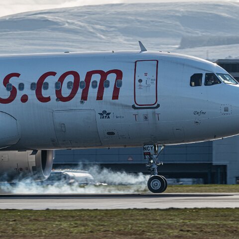 Pegasus-TC-NCY-2026-03-06-4