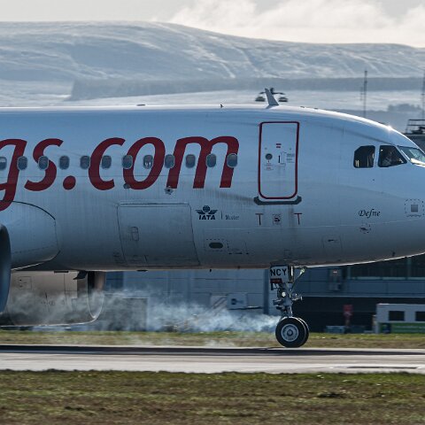 Pegasus-TC-NCY-2026-03-06-5