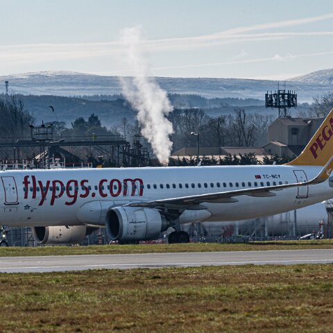 Pegasus-TC-NCY-2026-03-06-6