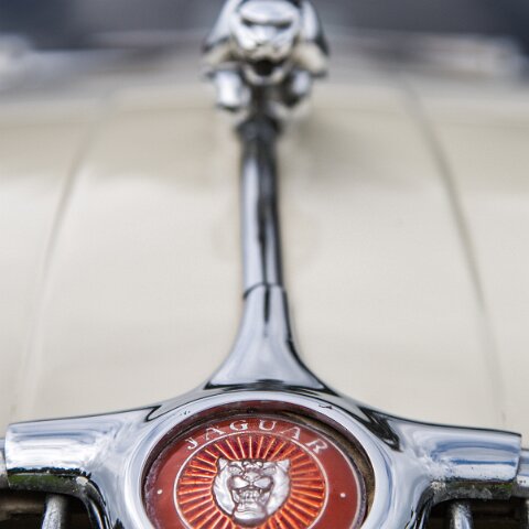 Hill-Climb-Boness-2014-17