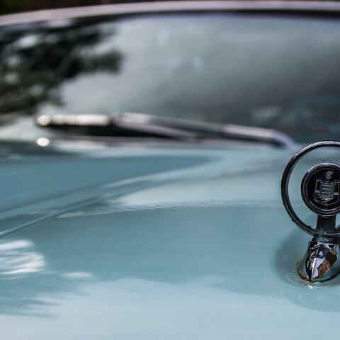 Hill-Climb-Boness-2015-15