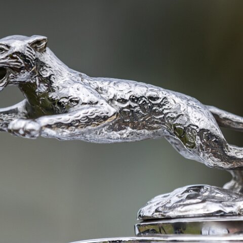 Hill-Climb-Boness-2017-14