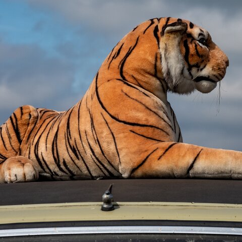 Fife-Vintage-Car-Rally-2022-08-28-19