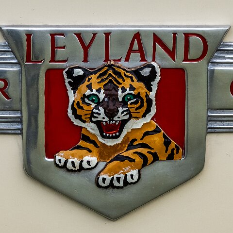 Fife-Vintage-Car-Rally-2023-08-27-1