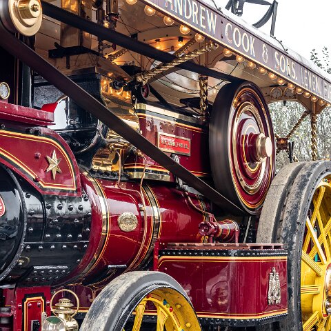 BonessSteam-Gala-2024-14