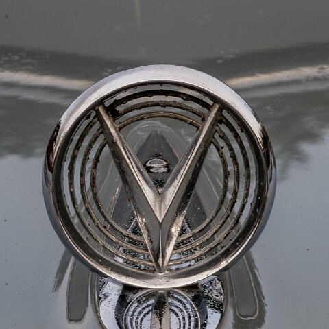 BonessSteam-Gala-2024-15