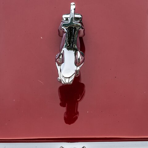 BonessSteam-Gala-2024-6