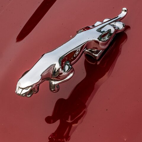 BonessSteam-Gala-2024-7