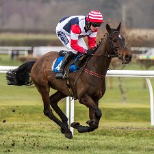 2015 Kelso Racecourse is a thoroughbred horse racing venue located in Kelso, Scotland. The official website describes the...