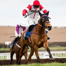 2016 Kelso Racecourse is a thoroughbred horse racing venue located in Kelso, Scotland. The official website describes the...