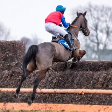 2018 Kelso Racecourse is a thoroughbred horse racing venue located in Kelso, Scotland. The official website describes the...
